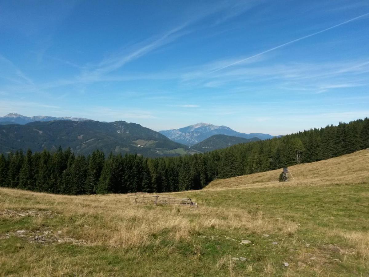 Отель Hubertushof Trattenbach  Экстерьер фото